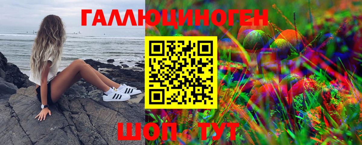 Коммунар  Галлюциногенные грибы MAGIC MUSHROOMS  Вход с VPN 