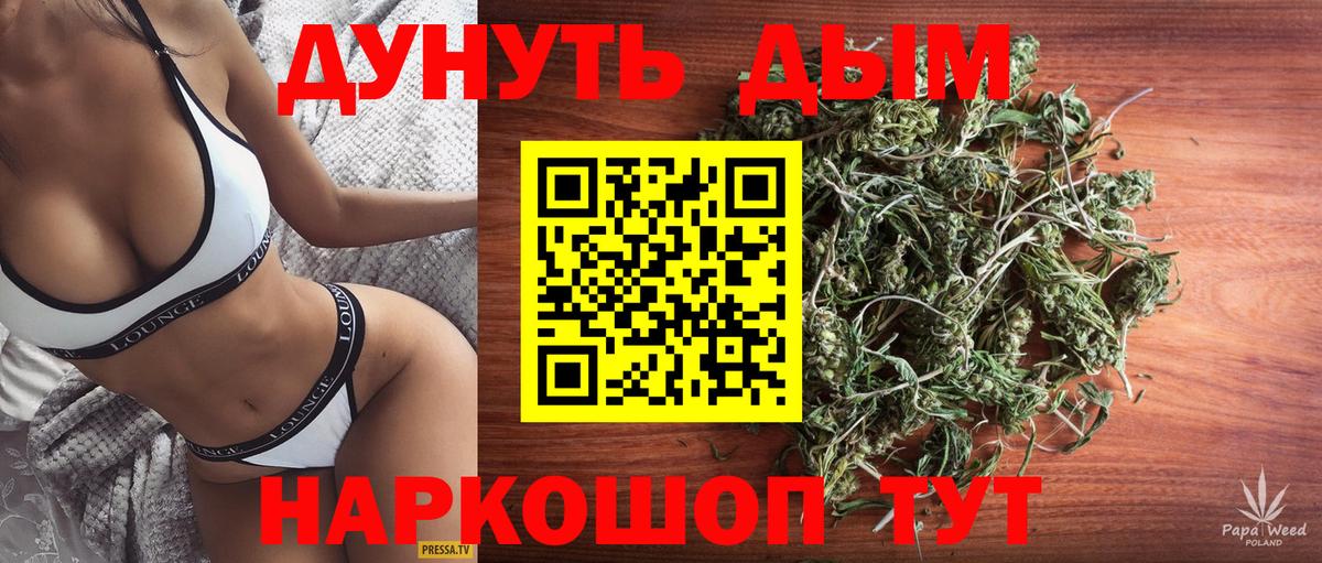 Бошки Шишки планчик Коммунар